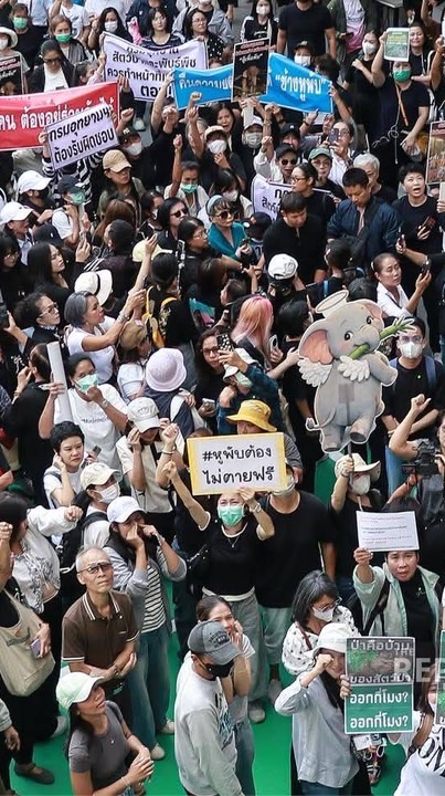 ทวงคืนความเป็นธรรมให้หูพับ