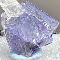 正宗百年轟天騎士團鑽研社