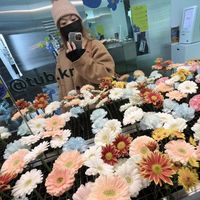 韓國遊學企業社한국🇰🇷🇰🇷🇰🇷花藝+採購連線+批貨教學+韓流+韓語教學+短語音+門店架構🛍️✈️📝📗📙🌷