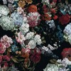 【マイナー限定】Cradle【全也】