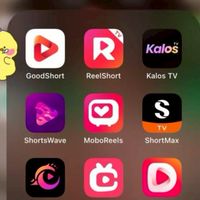 หารแอพมินิซีรีส์จีน🇨🇳 จอส่วนตัว+เครม