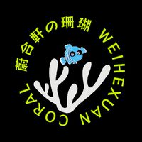蔚合軒水族 🐟海水魚🐠 珊瑚🪸