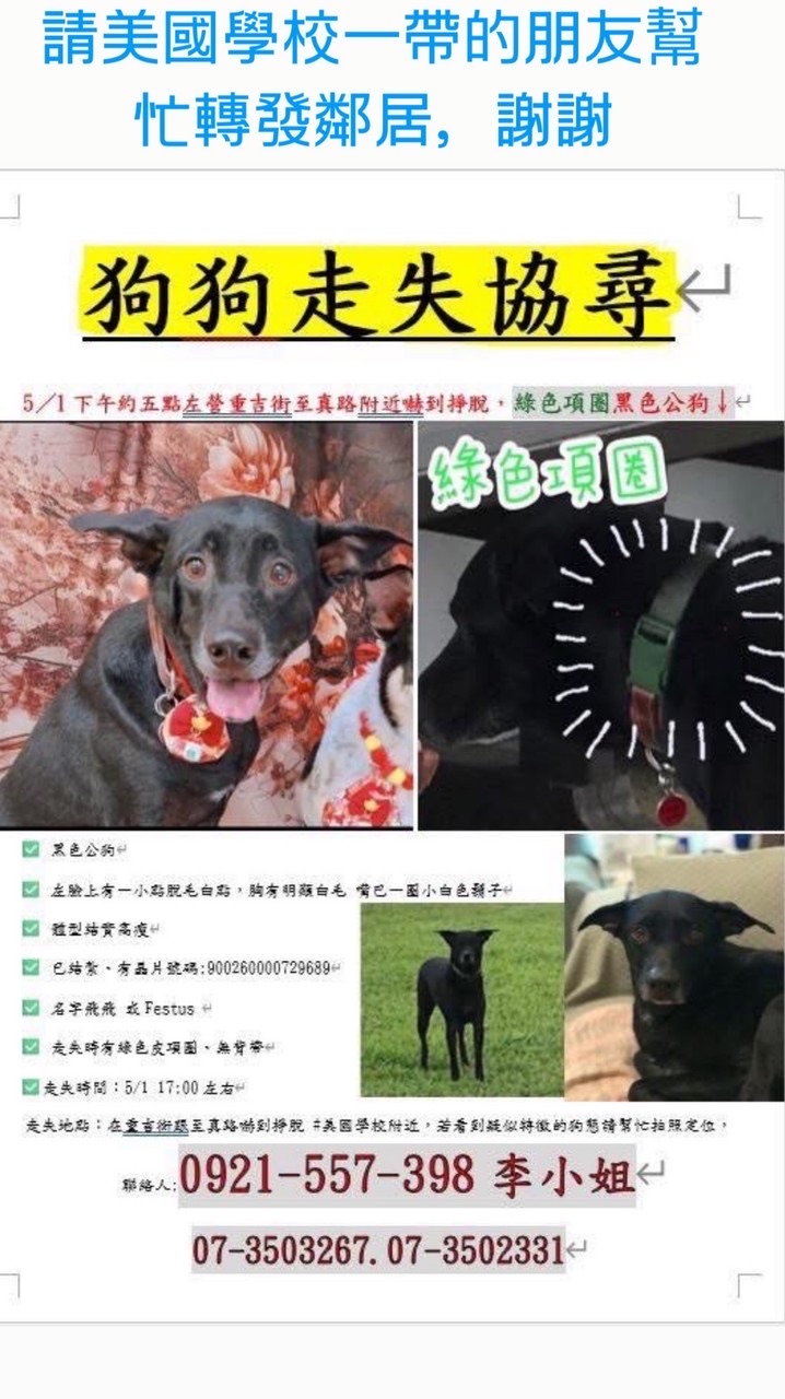 尋找飛飛 Festus come home