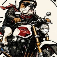 【福岡在住限定】　バイクツーリング交流オプチャ（大型ネイキッド、スポーツタイプ）