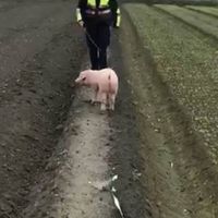 警察特考線上讀書會