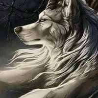 ohmyearn