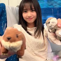 あおい♡ＩＳＬＡＮＤ🦦〜安納蒼衣ちゃん好きな人間の集まり〜