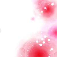 🌸2代目 ひっそり隠れ家