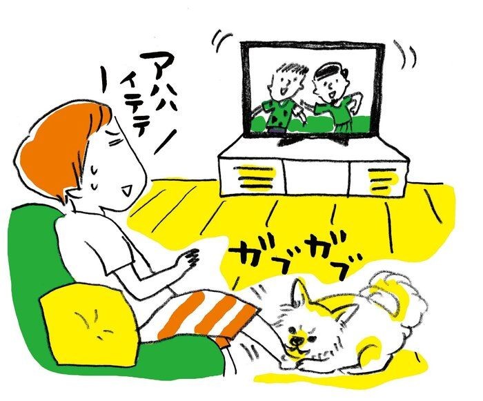 直らない 噛みグセ は飼い主さんの対応に原因が いぬのきもちnews