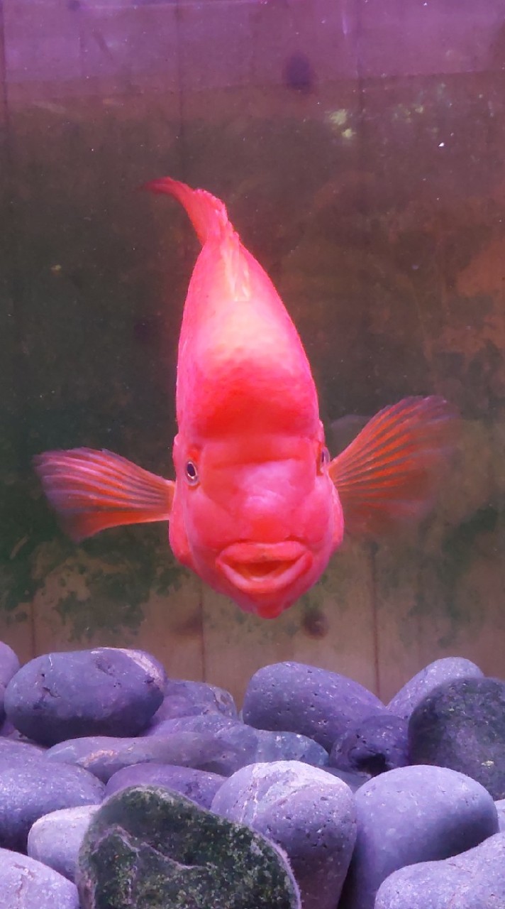 361水族經絡會館
