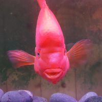 361水族經絡會館