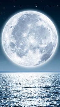 🌙刀剣乱舞〜月華本丸〜❁⃘