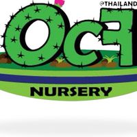 OCF โอซีเอฟ Live