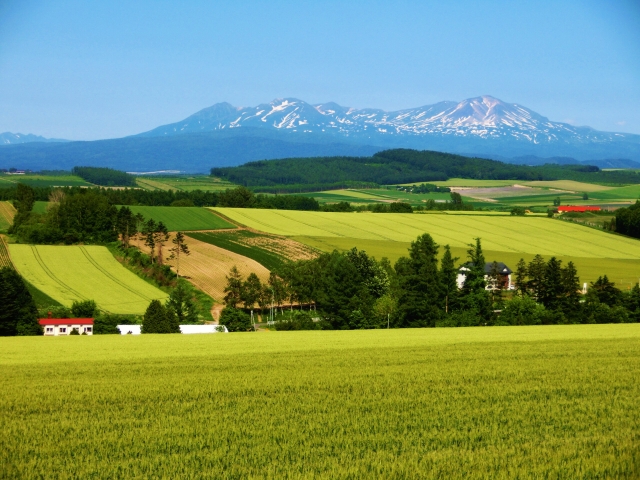 北海道 拼布之路