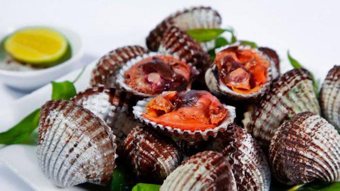 6 Makanan Paling Berbahaya Di Dunia 2 Diantaranya Sering Dikonsumsi Orang Indonesia Tribun Travel Line Today