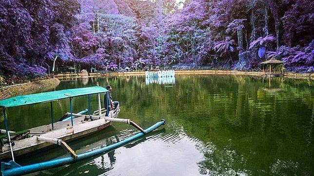Rowo Bayu Dan 10 Tempat Wisata Di Banyuwangi Yang Menarik Untuk Dikunjungi Tribun Travel Line Today
