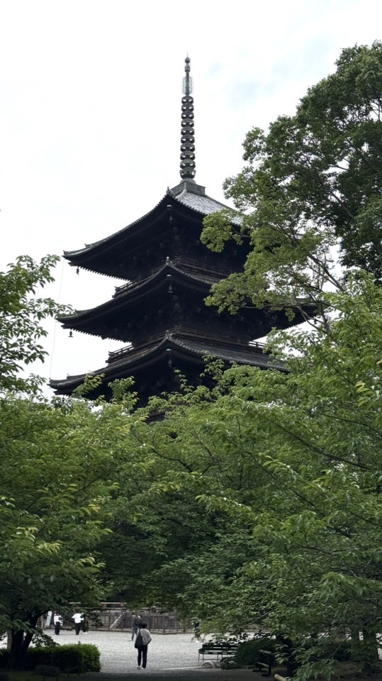日本旅遊分享交流（老李日常）