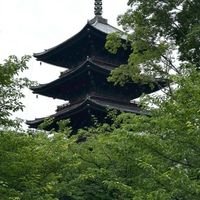 日本旅遊分享交流（老李日常）