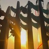 我害羞但想找人去旗津衝浪！