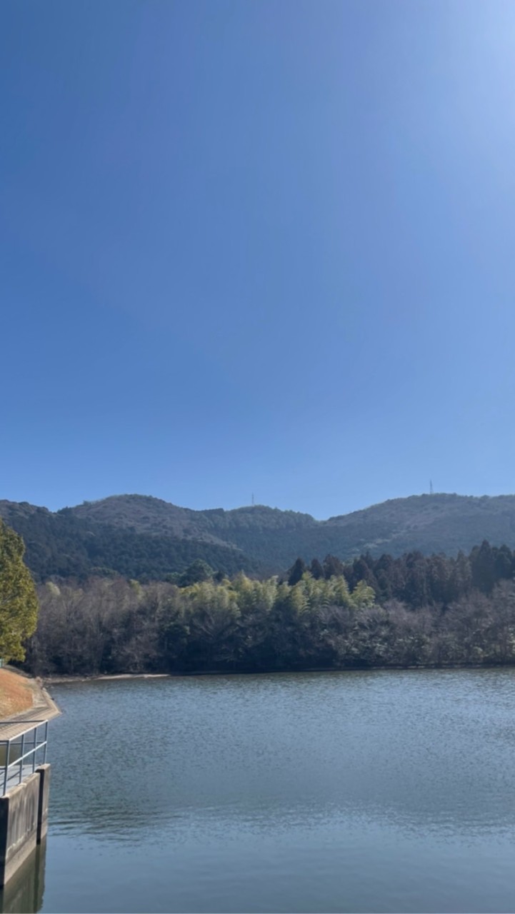 東三河  低山登山部屋