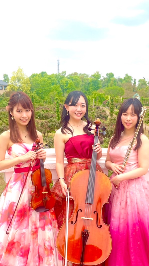 《公式》Apfel trio