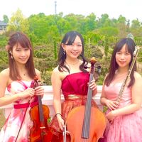 《公式》Apfel trio