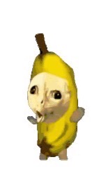 壯壯族