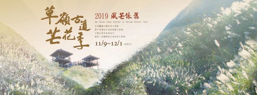 IG超紅必拍芒花！秋季限定草嶺古道芒花季登場！