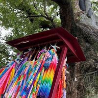 🔔広報・記録チーム