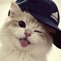 按著R就衝