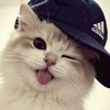 按著R就衝