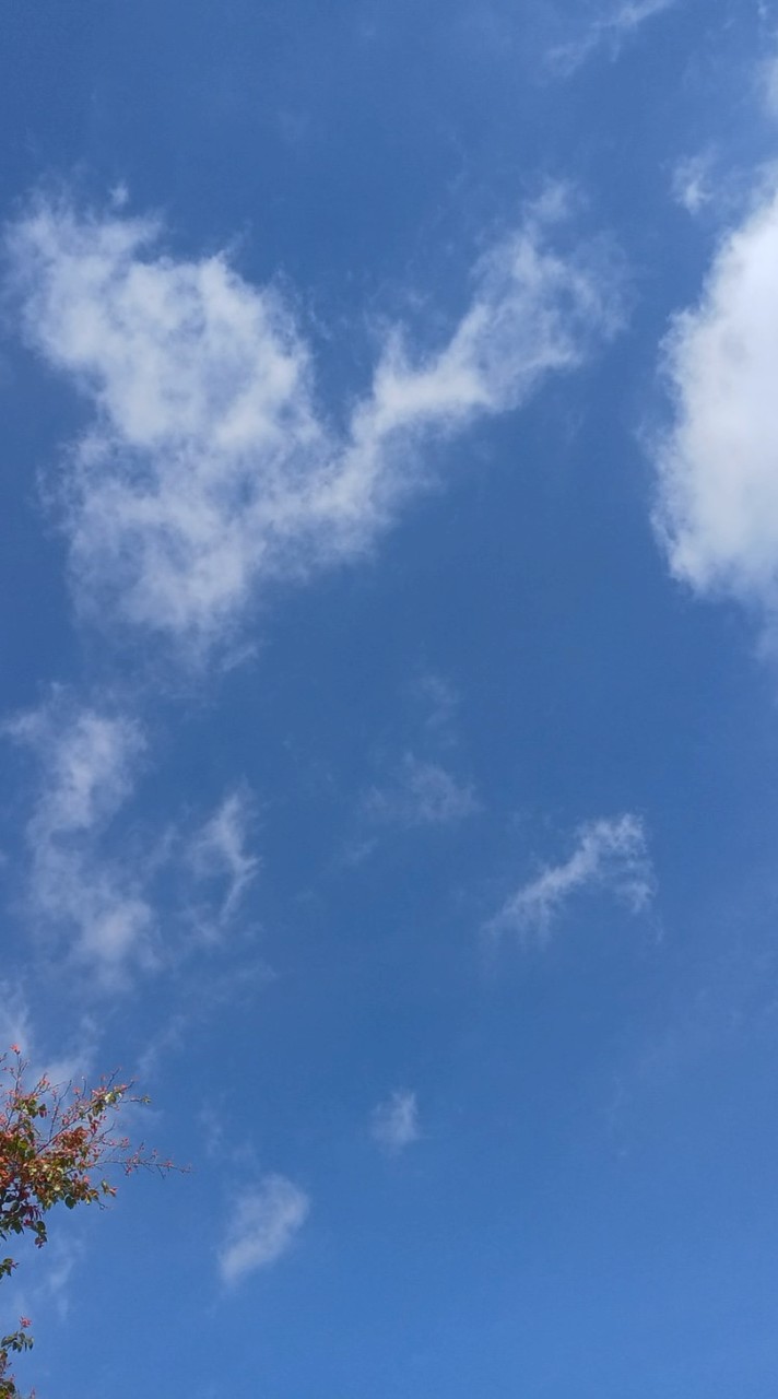 小如的心情日記分享