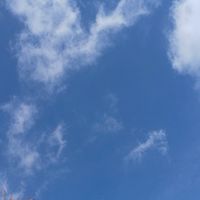小如的心情日記分享