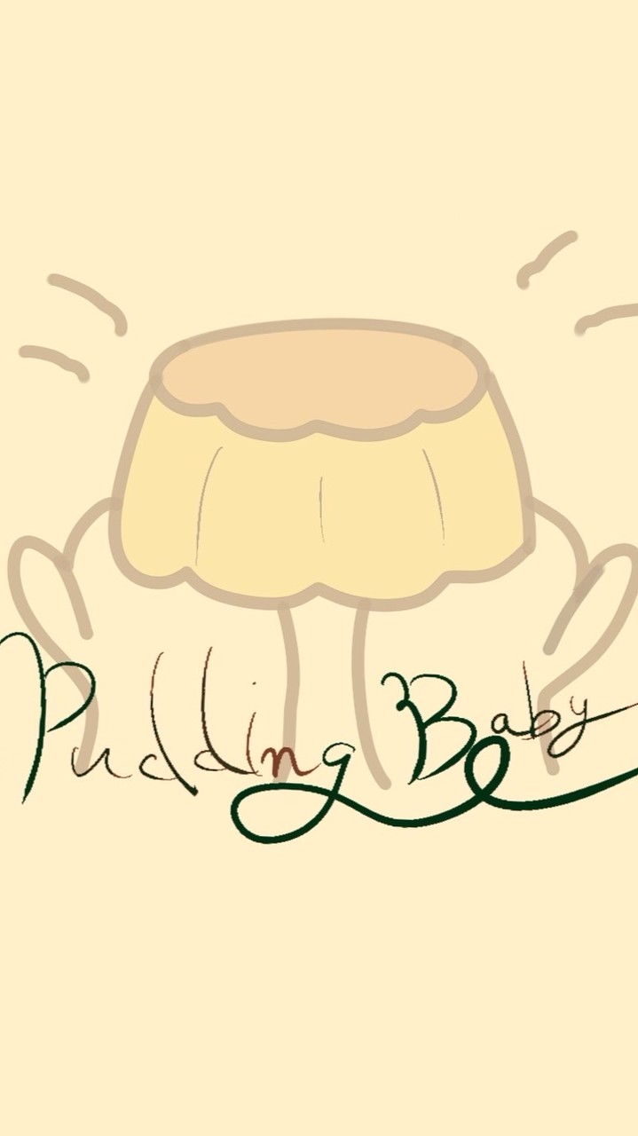 Pudding.baby_shop