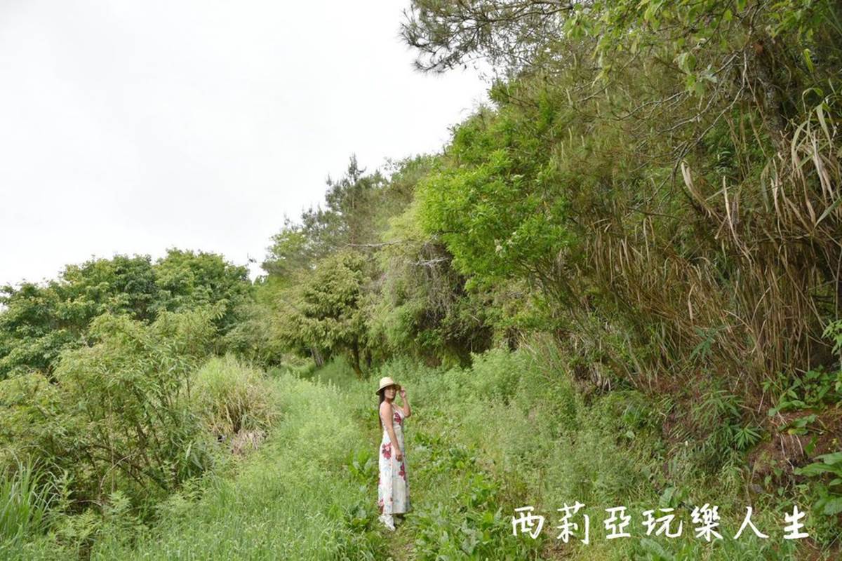 南投人不想說！仁愛鄉５私房景點：３分鐘攻頂瀑布祕境、全台最長天空步道