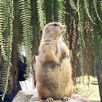 春の土用ゆるファスティング