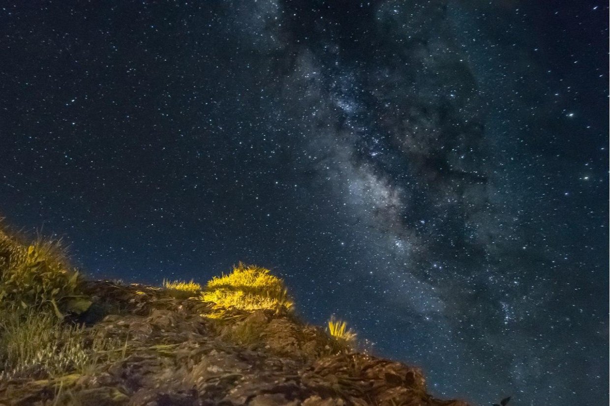 夜貓子走吧！捨不得睡的夜晚，不如來趟有趣又好玩的夜間體驗