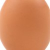 えっぐいegg