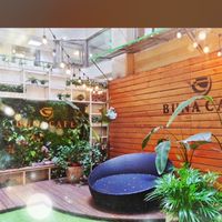 布納咖啡信義店