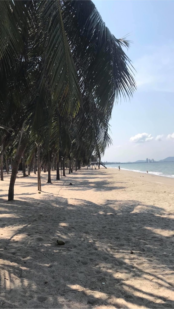 เที่ยวบางแสนกัน