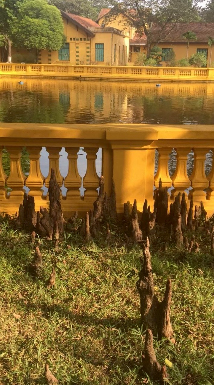 40+45+50+60有緣相識❣️珍惜友誼🧑‍🤝‍🧑