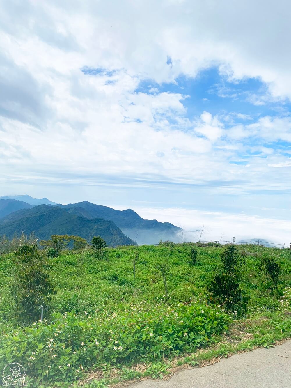 秘境景點推薦二延平步道