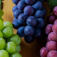 〖九州🏠沖縄〗30代🍇40代🍇50代〚ライブトーク〛楽しい雑談🍇素敵な談話🍇仲良しオフ会🍇