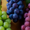 〖九州🏠沖縄〗30代🍇40代🍇50代〚ライブトーク〛楽しい雑談🍇素敵な談話🍇仲良しオフ会🍇