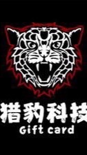 🔥獵豹手遊代儲🔥優惠特價社群