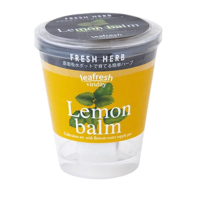 在容器中倒入適當的水量，並讓下方的綿條保持水分充足3.在培養土上灑上約1/3包種子 (剩下的種子密封放入冰箱冷藏，待下次種植使用)4. 發芽前保持土壤濕潤&空氣流通，並避免陽光直射5. 然後開心地期待