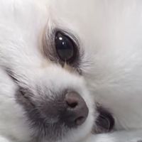 全緩也ハントのビッグウェーブに乗るしかないですねこれ。