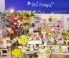 Jel Flower Line Official Account