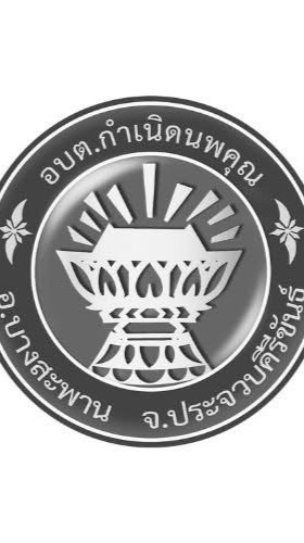 ภาษีอบต.กำเนิด อ.บางสะพาน จ.ประจวบ