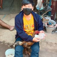ซุ้ม อาตี๋(ช.ชาญชัยฟาร์ม )